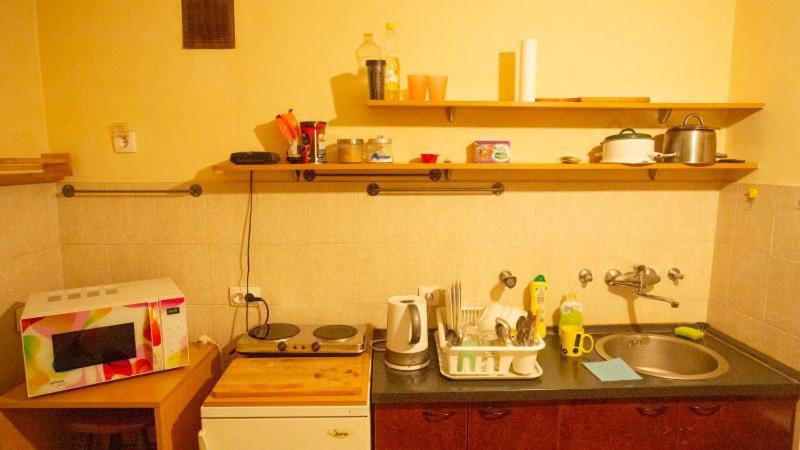 Private Cozy Room 1 With Shared Kitchen In Appartment, Downtown Belgrade Extérieur photo