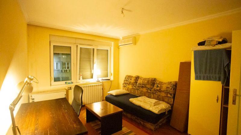Private Cozy Room 1 With Shared Kitchen In Appartment, Downtown Belgrade Extérieur photo
